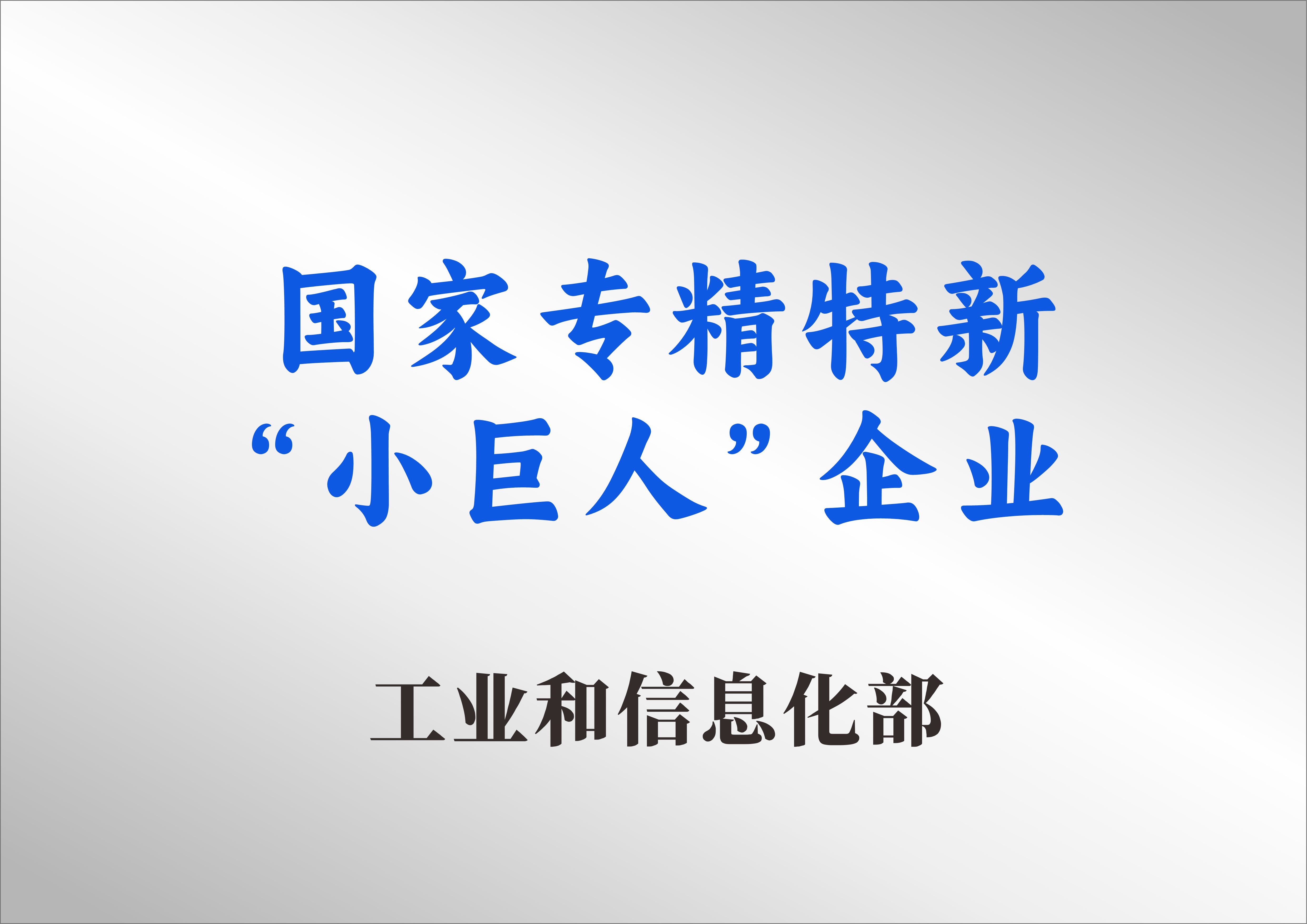 国家专精特新“小巨人”企业